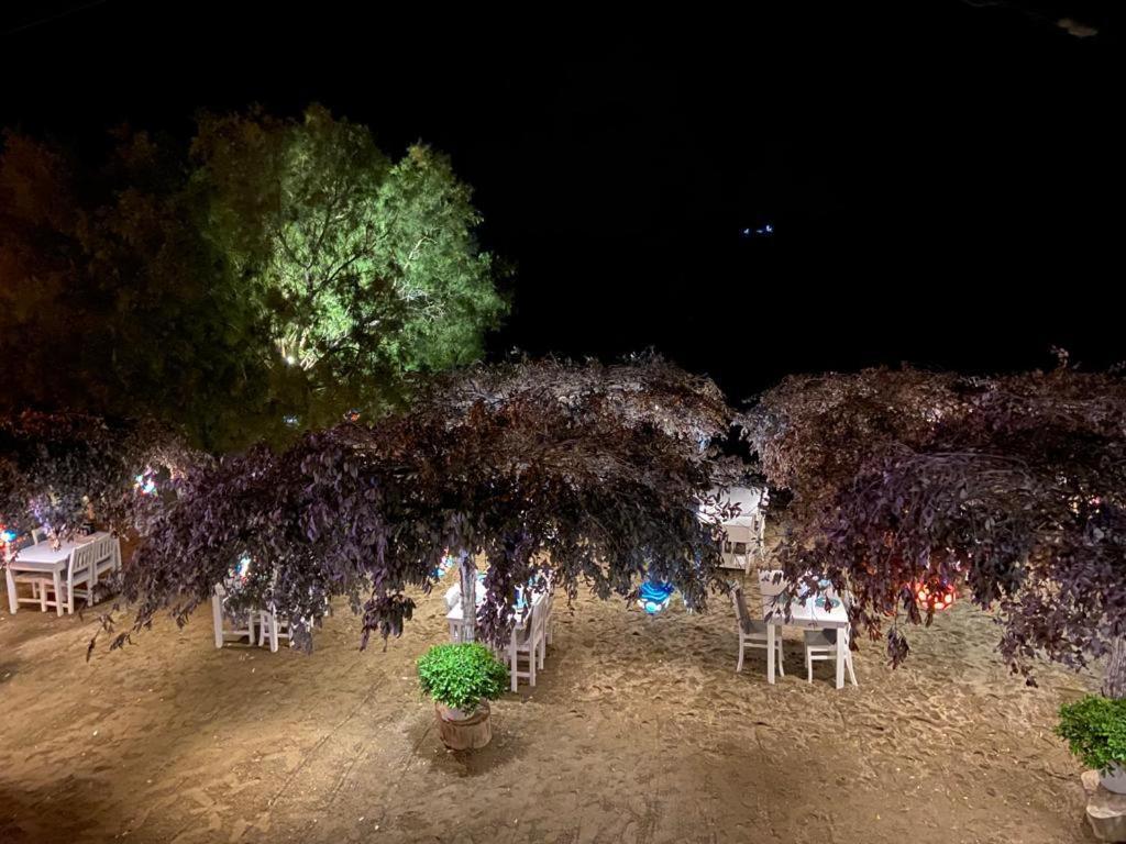 Arriba Pension & Restaurant Gumusluk Εξωτερικό φωτογραφία