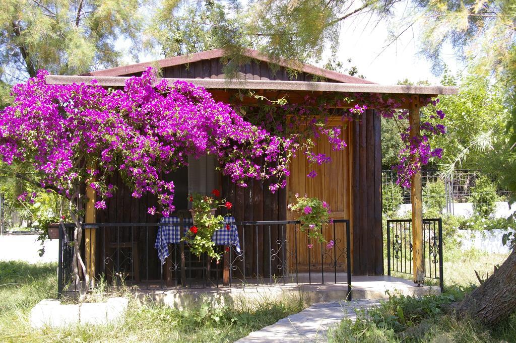 Arriba Pension & Restaurant Gumusluk Εξωτερικό φωτογραφία